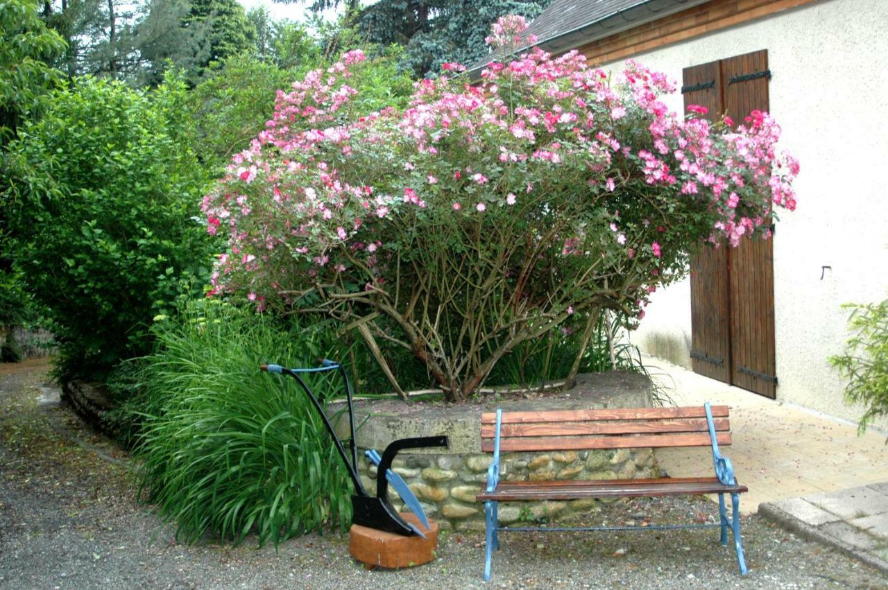 Bed and Breakfast La Demeure Aux Pins Lurdy Exteriér fotografie