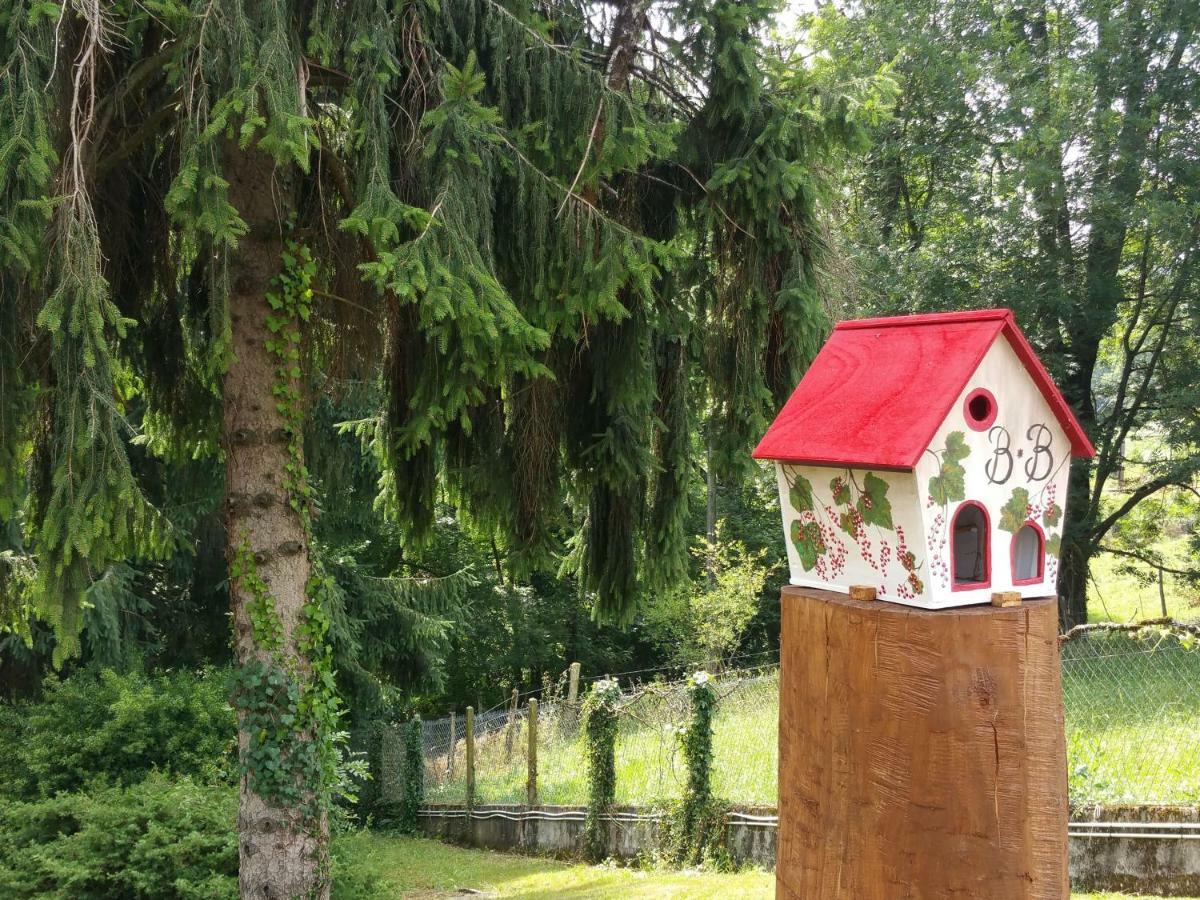 Bed and Breakfast La Demeure Aux Pins Lurdy Exteriér fotografie