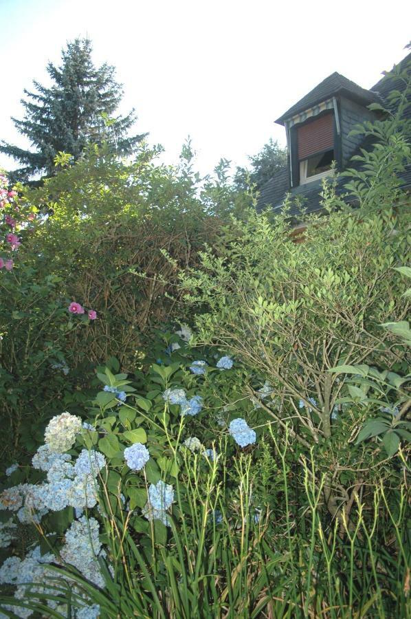 Bed and Breakfast La Demeure Aux Pins Lurdy Exteriér fotografie